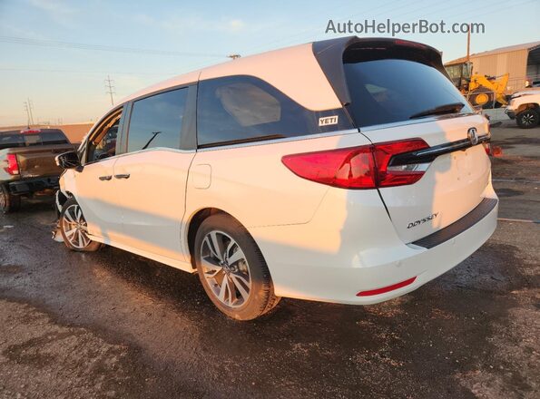 5FNRL6H81RB016704 2024 HONDA ODYSSEY Белый 