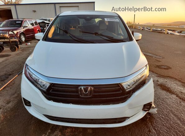 5FNRL6H81RB016704 2024 HONDA ODYSSEY Белый 