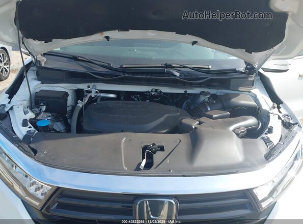 5FNRL6H87PB024156 2023 HONDA ODYSSEY White Вид ззаду