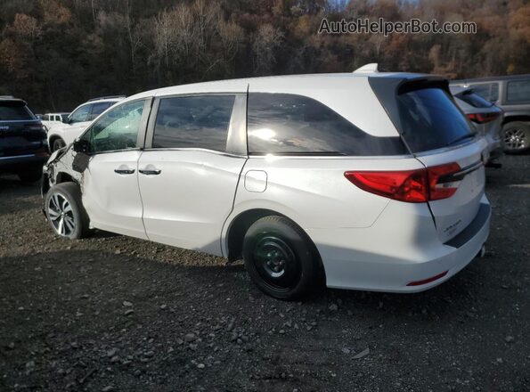 5FNRL6H88PB011867 2023 HONDA ODYSSEY White Tył lewy