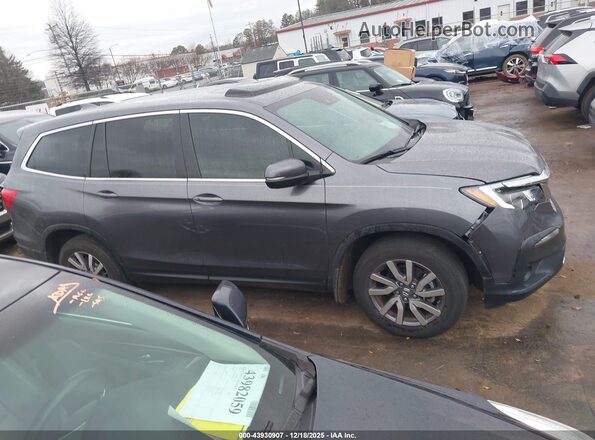 5FNYF5H50NB036620 2022 HONDA PILOT Серый Вид задней части салона