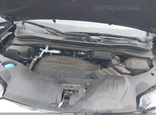 5FNYF5H50NB036620 2022 HONDA PILOT Серый Вид сзади