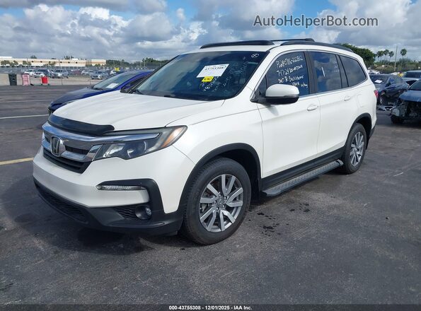 5FNYF6H41KB016286 2019 HONDA PILOT White Przód lewy