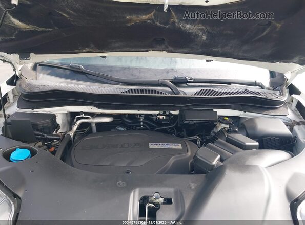 5FNYF6H41KB016286 2019 HONDA PILOT White Widok z tyłu