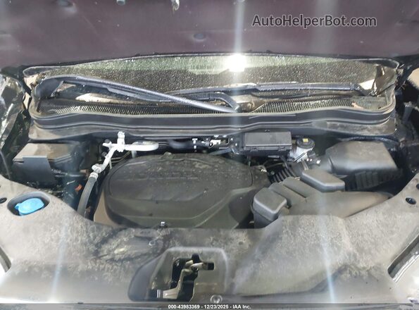 5FNYF8H52RB012360 2024 HONDA PASSPORT Черный Вид сзади