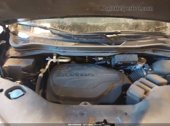 5FNYF8H56RB005539 2024 HONDA PASSPORT Blue Widok z tyłu