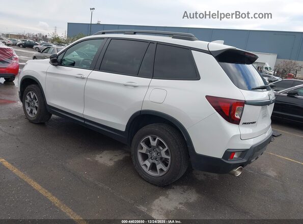 5FNYF8H61PB040494 2023 HONDA PASSPORT Белый Задняя левая четверть