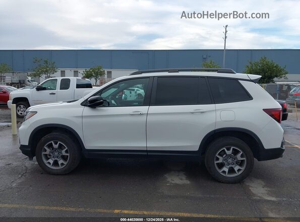 5FNYF8H61PB040494 2023 HONDA PASSPORT Белый Панорамный вид салона 360°