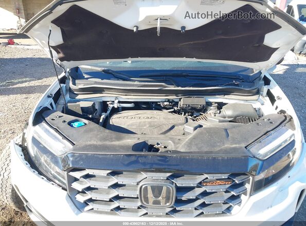 5FNYF8H64RB021702 2024 HONDA PASSPORT White Вид ззаду