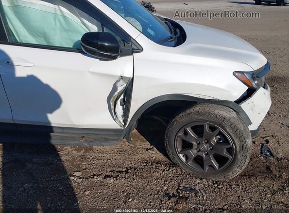 5FNYF8H64RB021702 2024 HONDA PASSPORT White Вид спереду