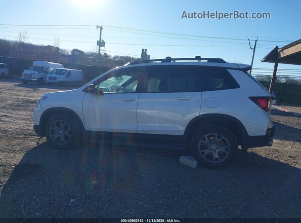 5FNYF8H64RB021702 2024 HONDA PASSPORT White Панорамний вид салону 360°