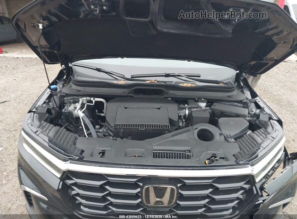 5FNYG1H74RB036620 2024 HONDA PILOT Black Вид ззаду