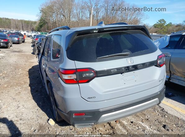 5FNYG1H86RB015101 2024 HONDA PILOT Gray Задня ліва чверть
