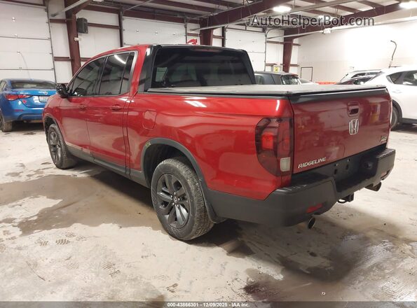 5FPYK3F12MB020988 2021 HONDA RIDGELINE Red Հետևի ձախ