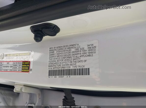 5FPYK3F12RB017239 2024 HONDA RIDGELINE White Vista del compartimento del motor