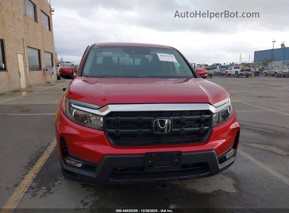 5FPYK3F51RB006834 2024 HONDA RIDGELINE Красный 
