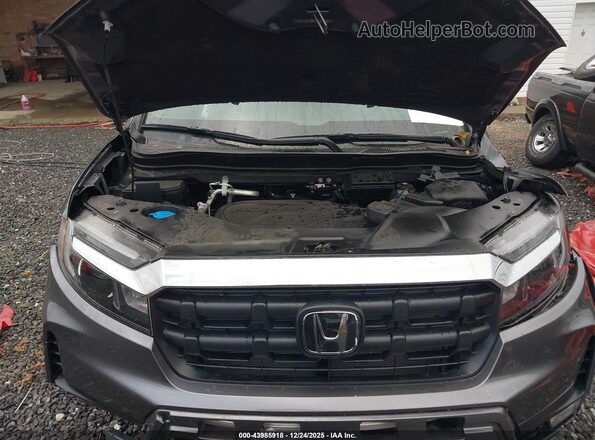 5FPYK3F51SB004233 2025 HONDA RIDGELINE Gray Вид ззаду