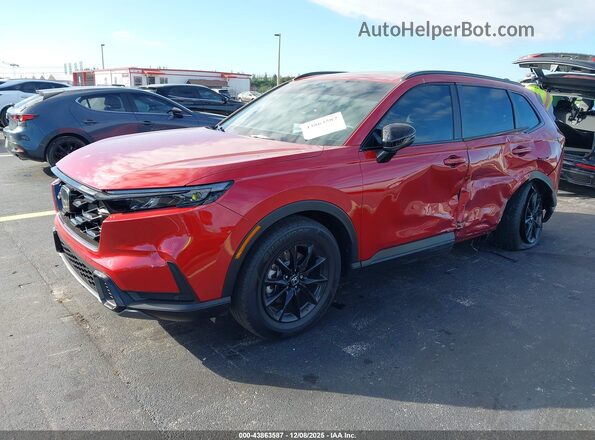 5J6RS5H89TL003338 2026 HONDA CR-V Красный Передняя левая четверть