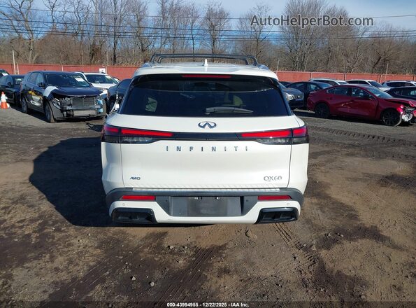 5N1DL1FS3PC373724 2023 INFINITI QX60 White 