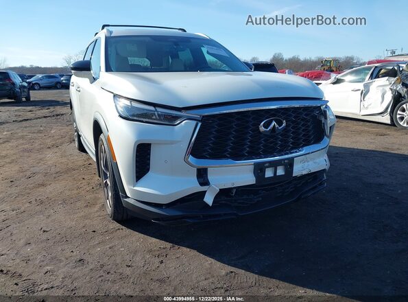 5N1DL1FS3PC373724 2023 INFINITI QX60 White 