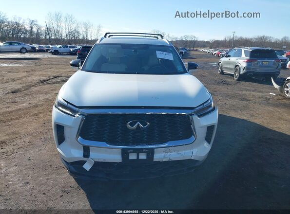 5N1DL1FS3PC373724 2023 INFINITI QX60 White Вид щитка приладів