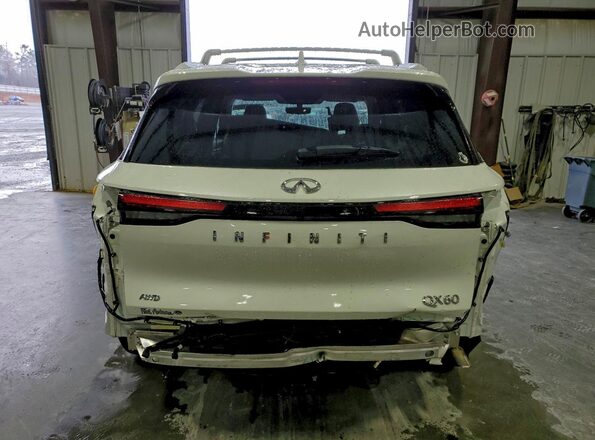 5N1DL1GS0PC361433 2023 INFINITI QX60 White Widok z tyłu