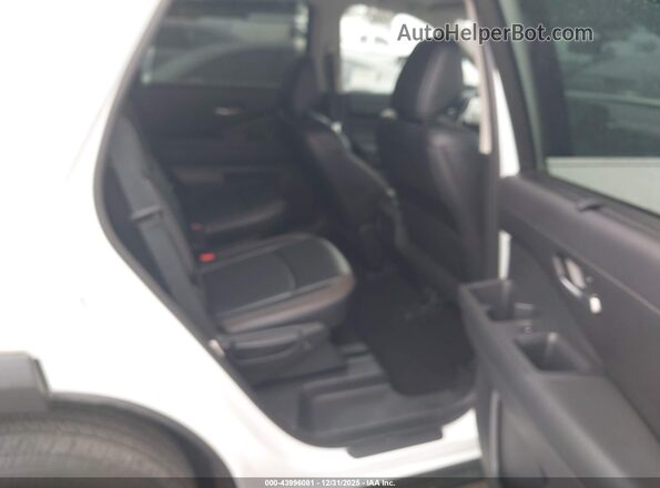 5N1DR3CBXRC242811 2024 NISSAN PATHFINDER White Вид наклейки з VIN-кодом
