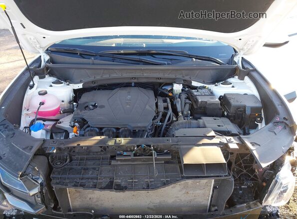 5NMJBCDE3TH615538 2026 HYUNDAI TUCSON Белый Вид сзади