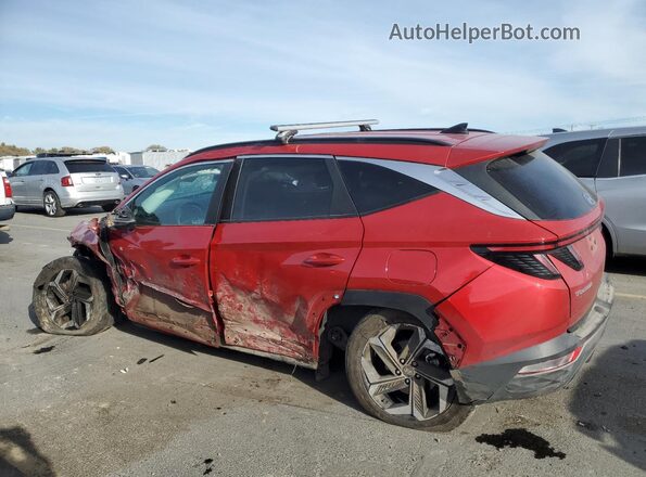 5NMJC3AE0NH125577 2022 HYUNDAI TUCSON Red Հետևի ձախ