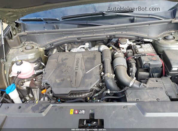 5NMP24GL0RH003350 2024 HYUNDAI SANTA FE Green Հետևի տեսք