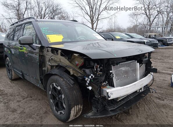 5NMP2DGL0RH060499 2024 HYUNDAI SANTA FE Зеленый 