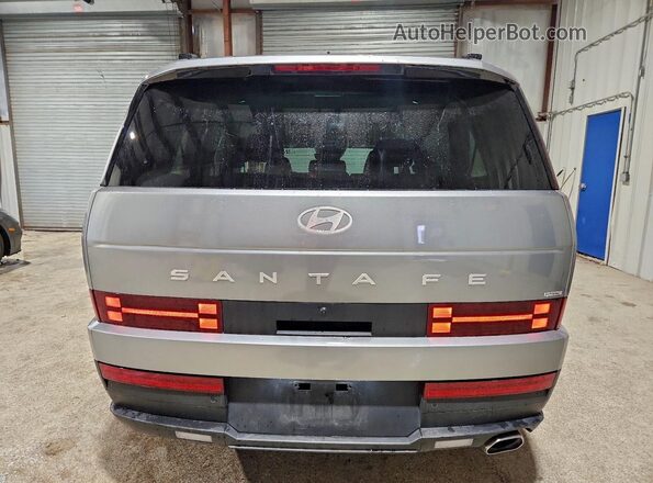 5NMP2DGL4SH088442 2025 HYUNDAI SANTA Silver Widok z tyłu