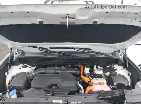 5NMP3DG10SH041162 2025 HYUNDAI SANTA FE HYBRID Белый Вид сзади
