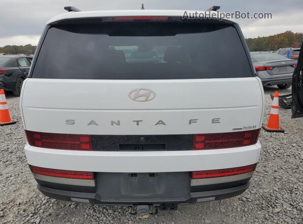 5NMP3DG10SH043297 2025 HYUNDAI SANTA White Вид ззаду