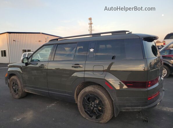 5NMP3DGL3RH029583 2024 HYUNDAI SANTA Green Tył lewy