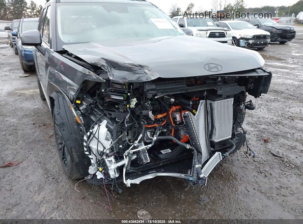 5NMP5DG17SH058289 2025 HYUNDAI SANTA FE HYBRID Gray Դիմացի տեսք