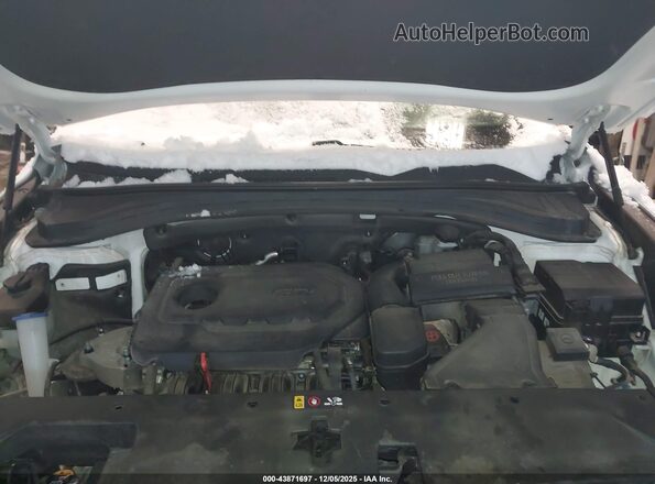 5NMS2CAD7LH216891 2020 HYUNDAI SANTA FE White Vista trasera