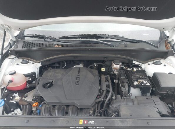 5NMS2DAJ8NH396154 2022 HYUNDAI SANTA FE White Widok z tyłu