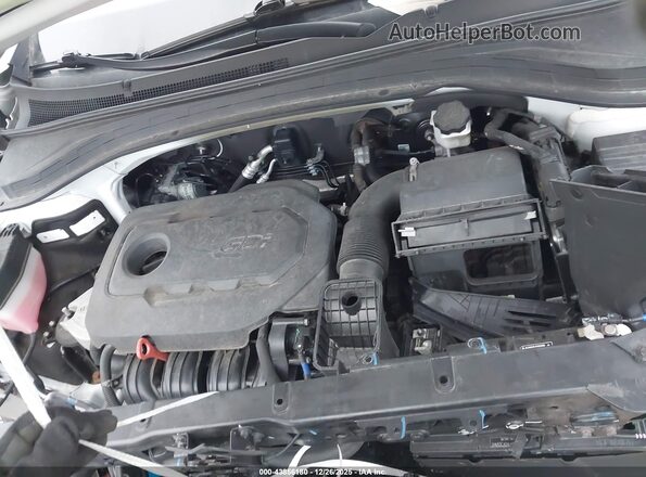 5NMS3CAD6LH303310 2020 HYUNDAI SANTA FE White Vista trasera
