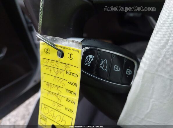 5NMS3CAD6LH303310 2020 HYUNDAI SANTA FE White Vista del salpicadero