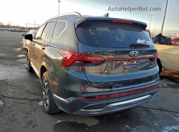 5NMS4DAL4MH354512 2021 HYUNDAI SANTA Gray უკანა ხედი