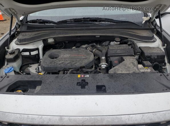 5NMS53AA2KH069794 2019 HYUNDAI SANTA Белый Вид подкапотного пространства