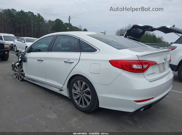5NPE34AF2GH434117 2016 HYUNDAI SONATA White უკანა მარცხენა