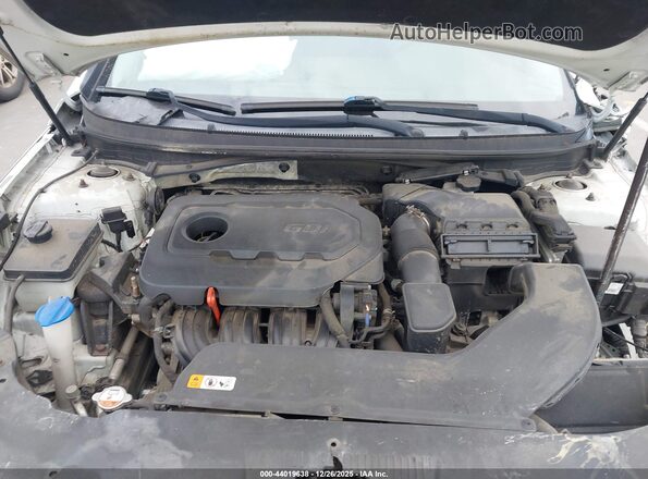 5NPE34AF2GH434117 2016 HYUNDAI SONATA White უკანა ხედი