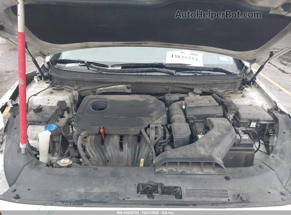 5NPE34AF9JH629705 2018 HYUNDAI SONATA Белый 