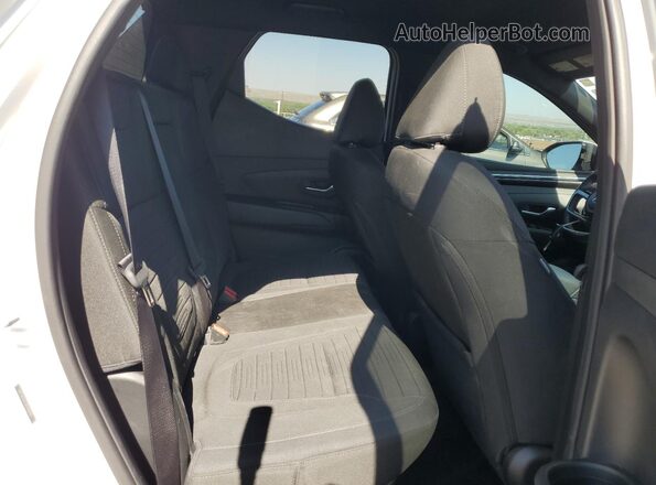 5NTJA4AE5RH100485 2024 HYUNDAI SANTA White Vista de los asientos traseros