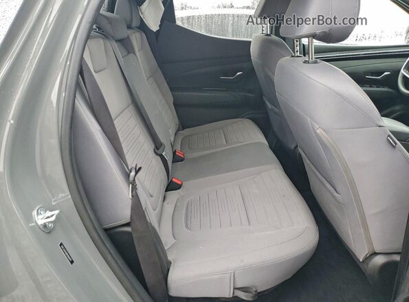 5NTJA4AE8RH096979 2024 HYUNDAI SANTA Gray Widok tylnych siedzeń