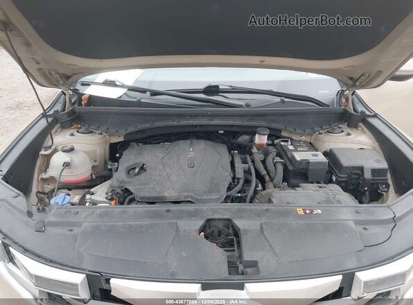 5NTJBDAE2PH074745 2023 HYUNDAI SANTA CRUZ Cream Вид ззаду