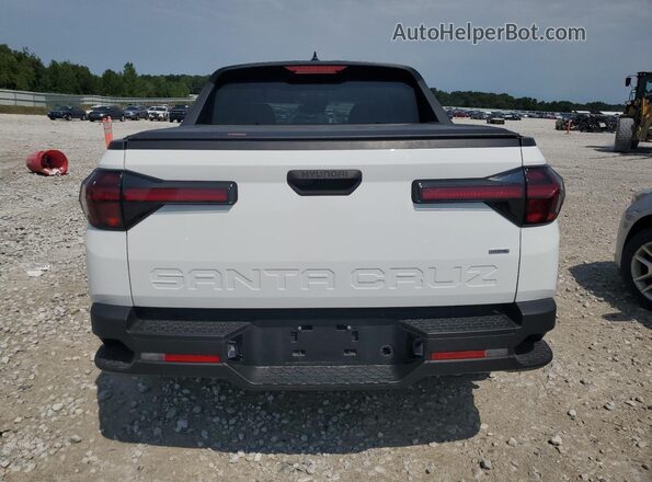 5NTJBDAE6RH094290 2024 HYUNDAI SANTA White Widok z tyłu