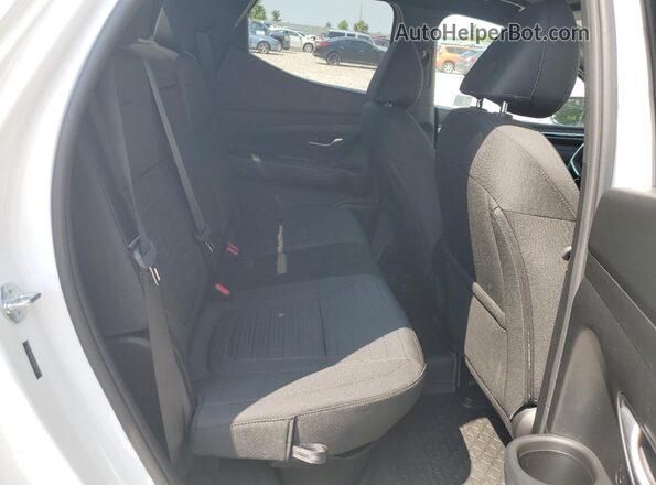 5NTJBDAE6RH094290 2024 HYUNDAI SANTA White Widok wnętrza z tyłu